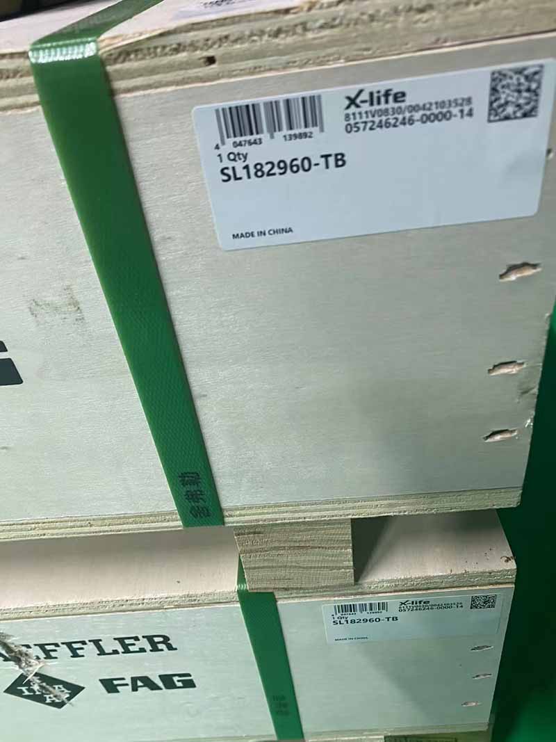 INA SL182960-TB