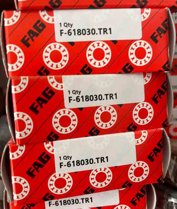 FAG  F-618030.TR1